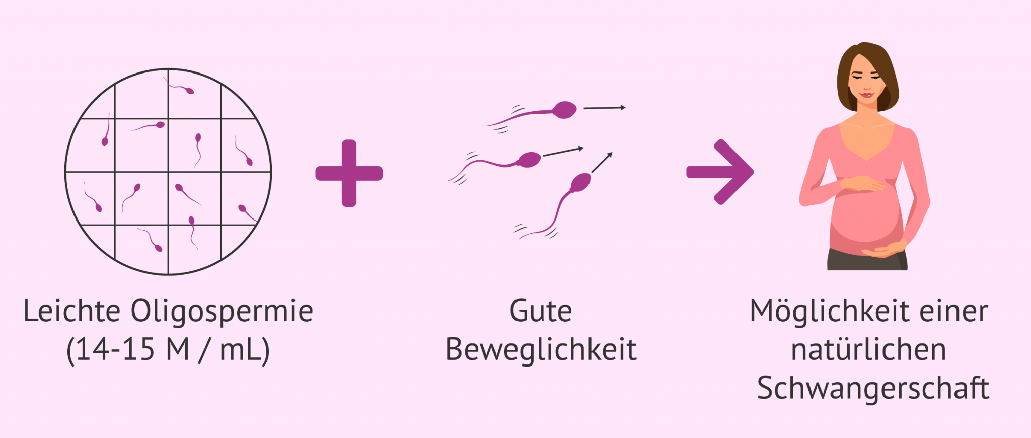Wie Hoch Wahrscheinlichkeit Schwanger Zu Werden www.invitra.de