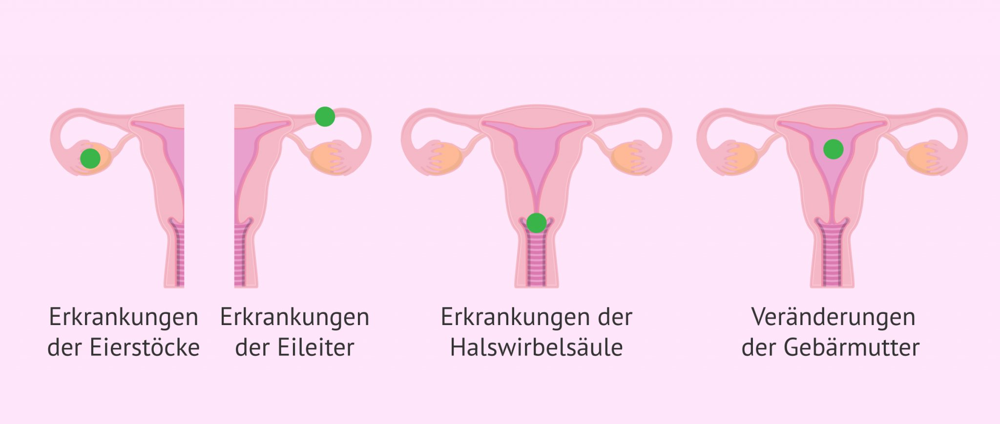 Wann Ist Eine Frau Unfruchtbar www.invitra.de