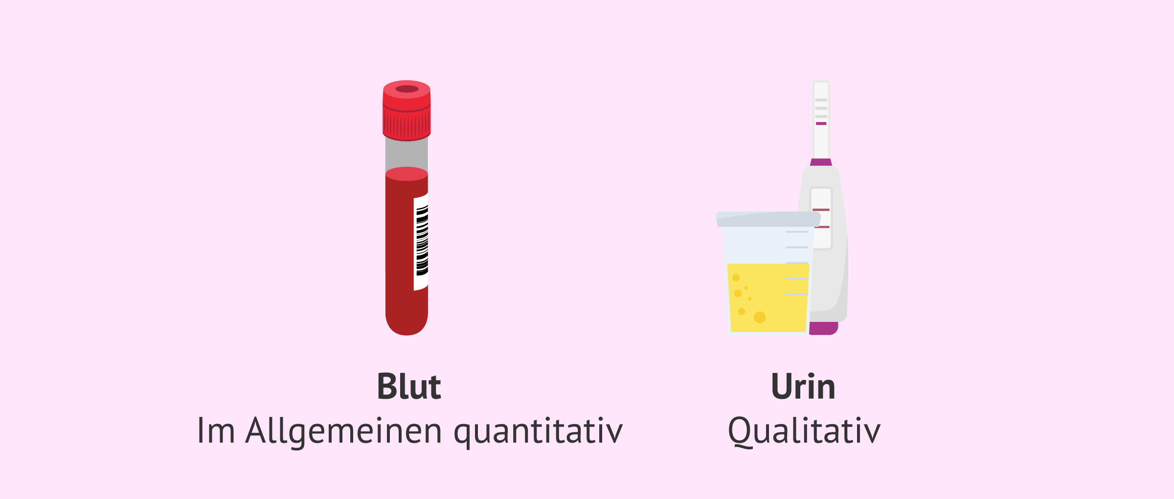 Imagen: Bestimmung des Hormons hCG