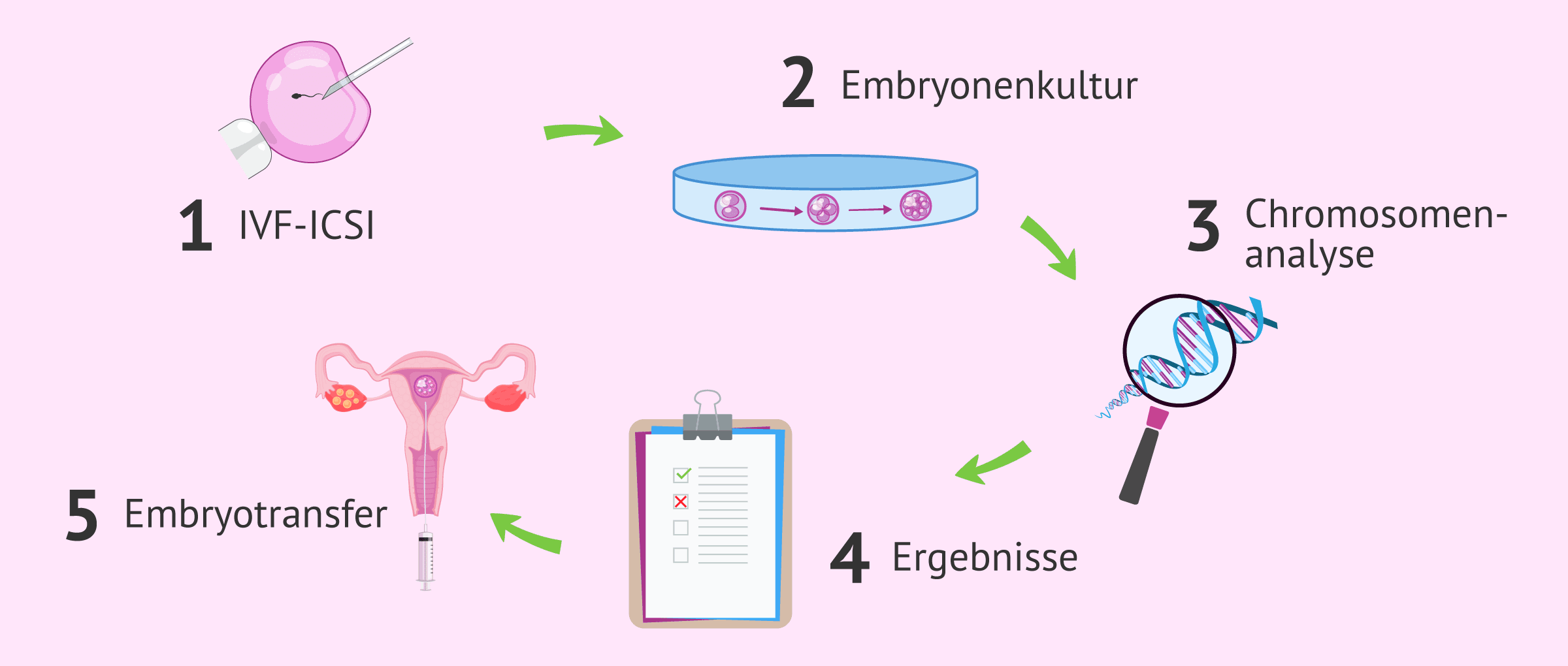 Verfahren des nicht-invasiven Präimplantations-Gentests oder Embrace-Tests