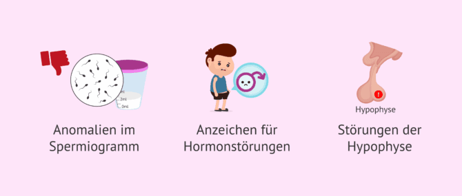 Imagen: Wird beim Mann immer eine Hormonanalyse durchgeführt?