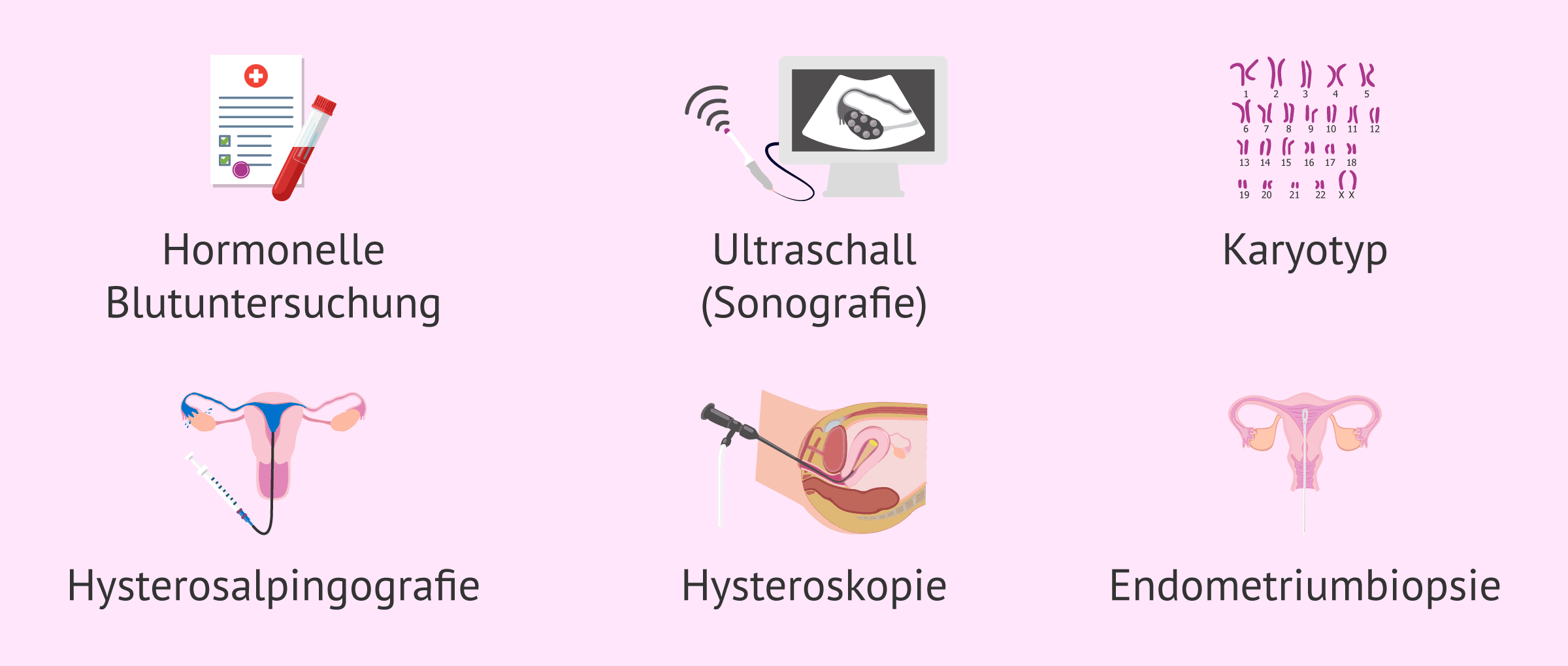 Imagen: Untersuchungen zur Fruchtbarkeit der Frau