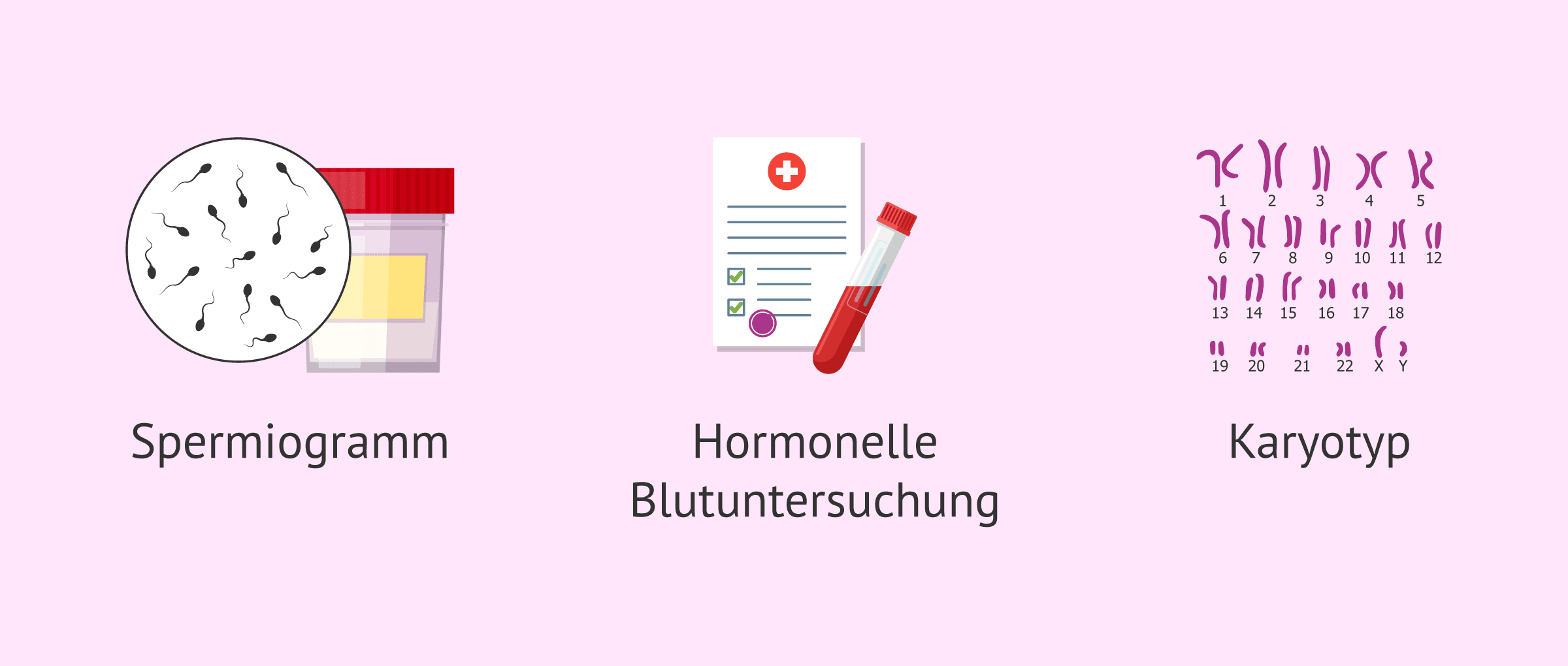 Imagen: Untersuchungen zur Fruchtbarkeit des Mannes