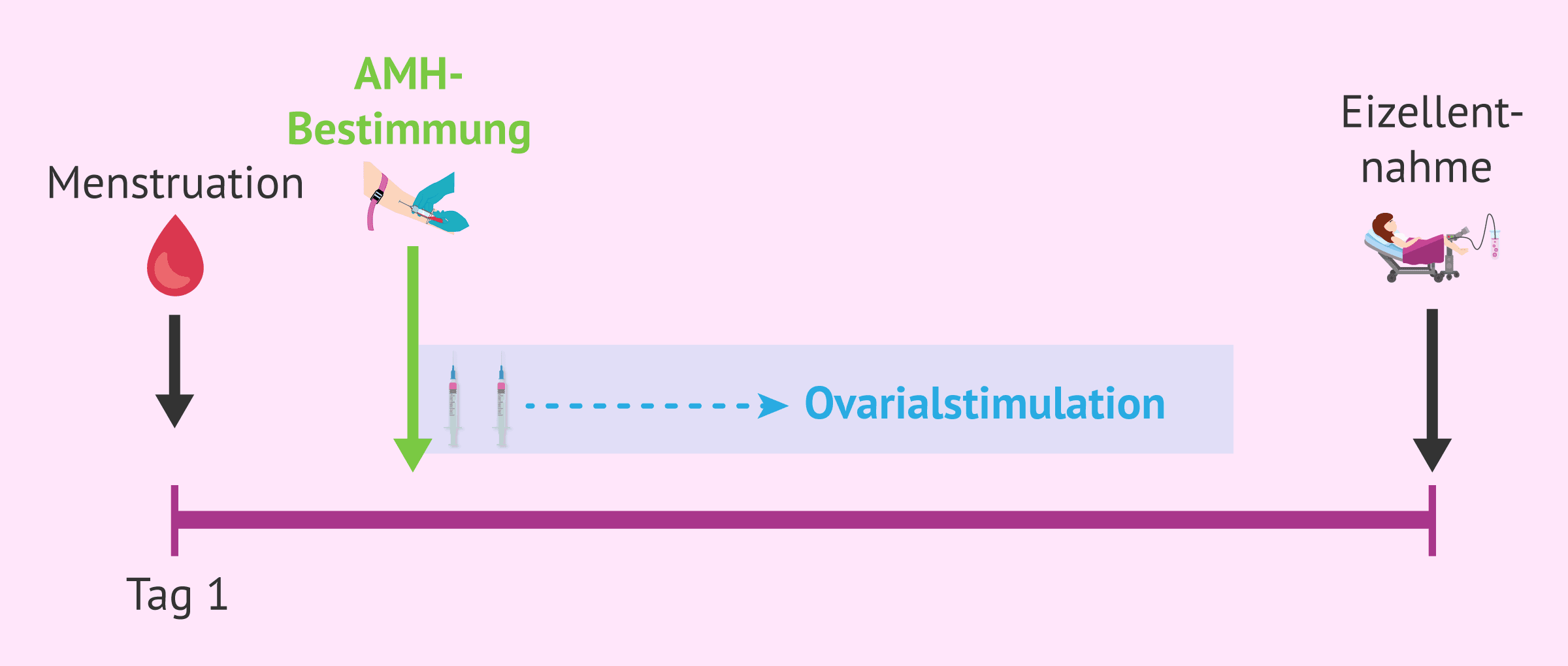 Imagen: Wann sollte die AMH-Analyse durchgeführt werden?