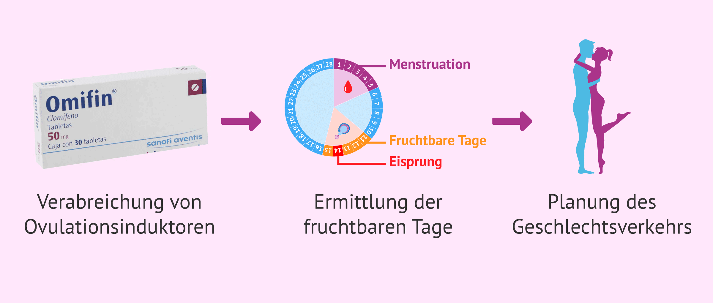 Imagen: Ovulationsauslösende Medikamente und Verkehr nach Plan bei Frauen mit PCOS