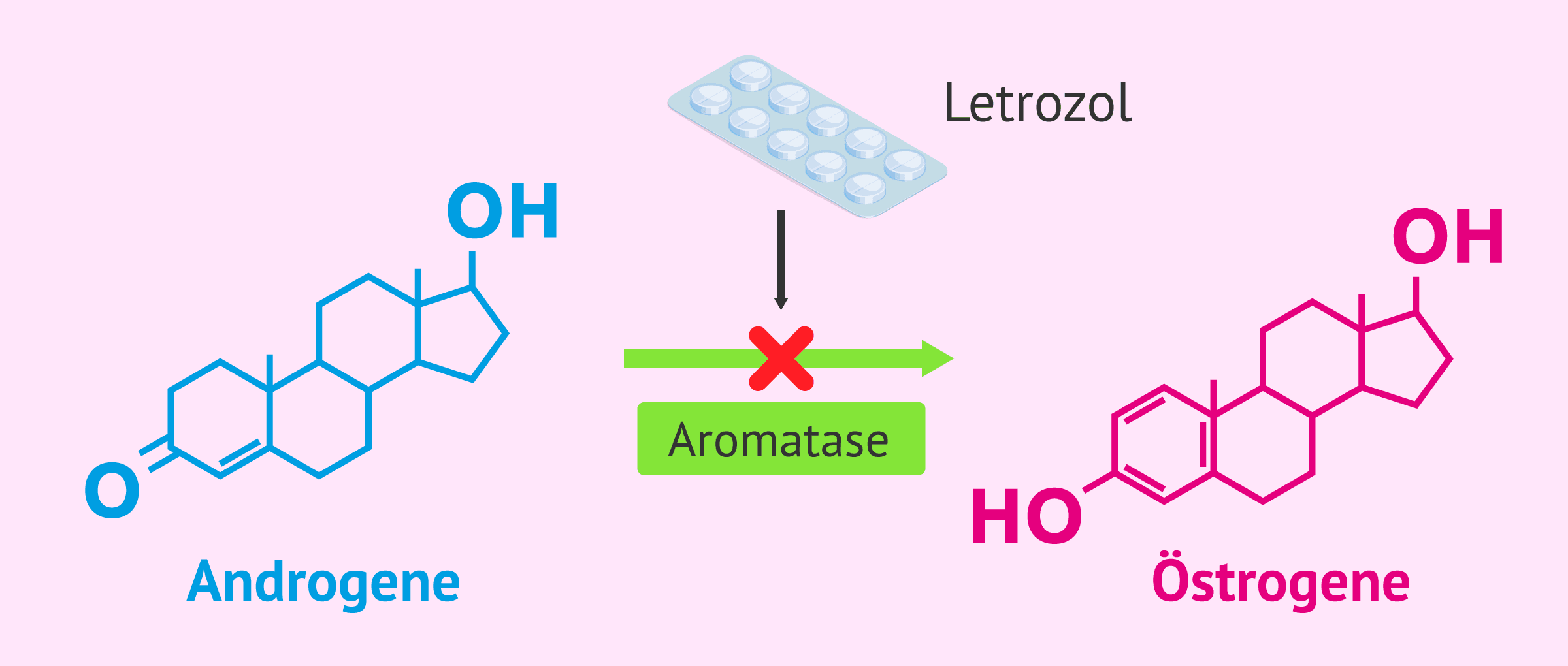 Imagen: Wirkmechanismus von Letrozol