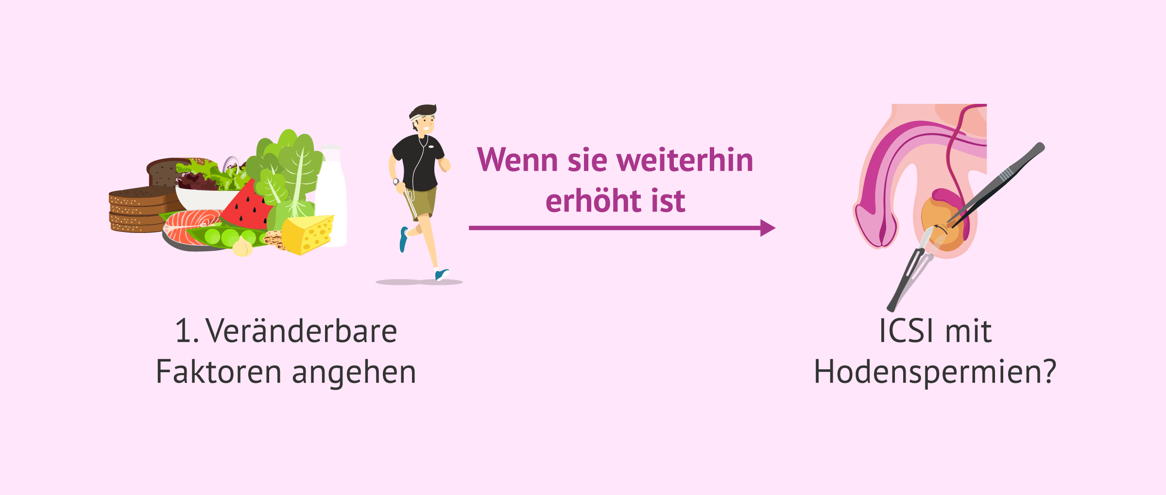 Imagen: Umgang mit der DNA-Fragmentierung der Spermien