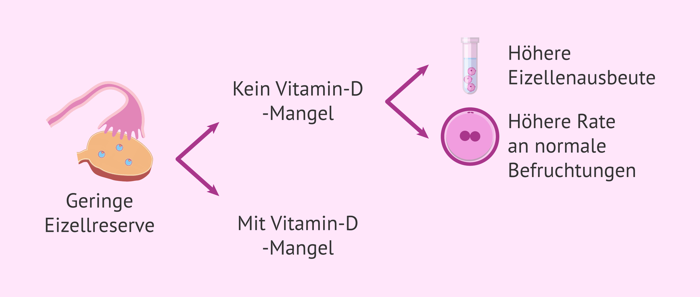 Imagen: IVF-Ergebnisse bei niedriger ovarieller Reserve und Vitamin-D-Mangel