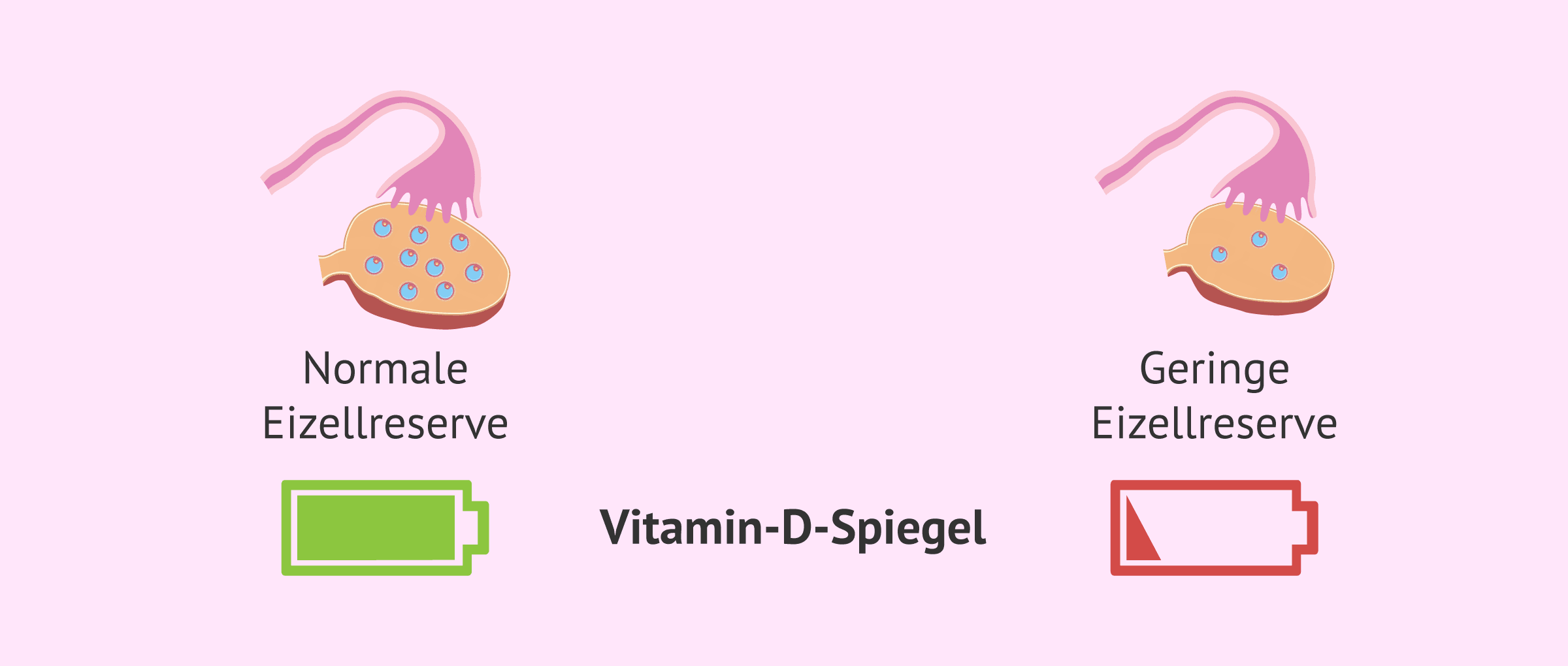 Vitamin D: Das unerwartete Geheimnis bei niedriger Eierstockreserve