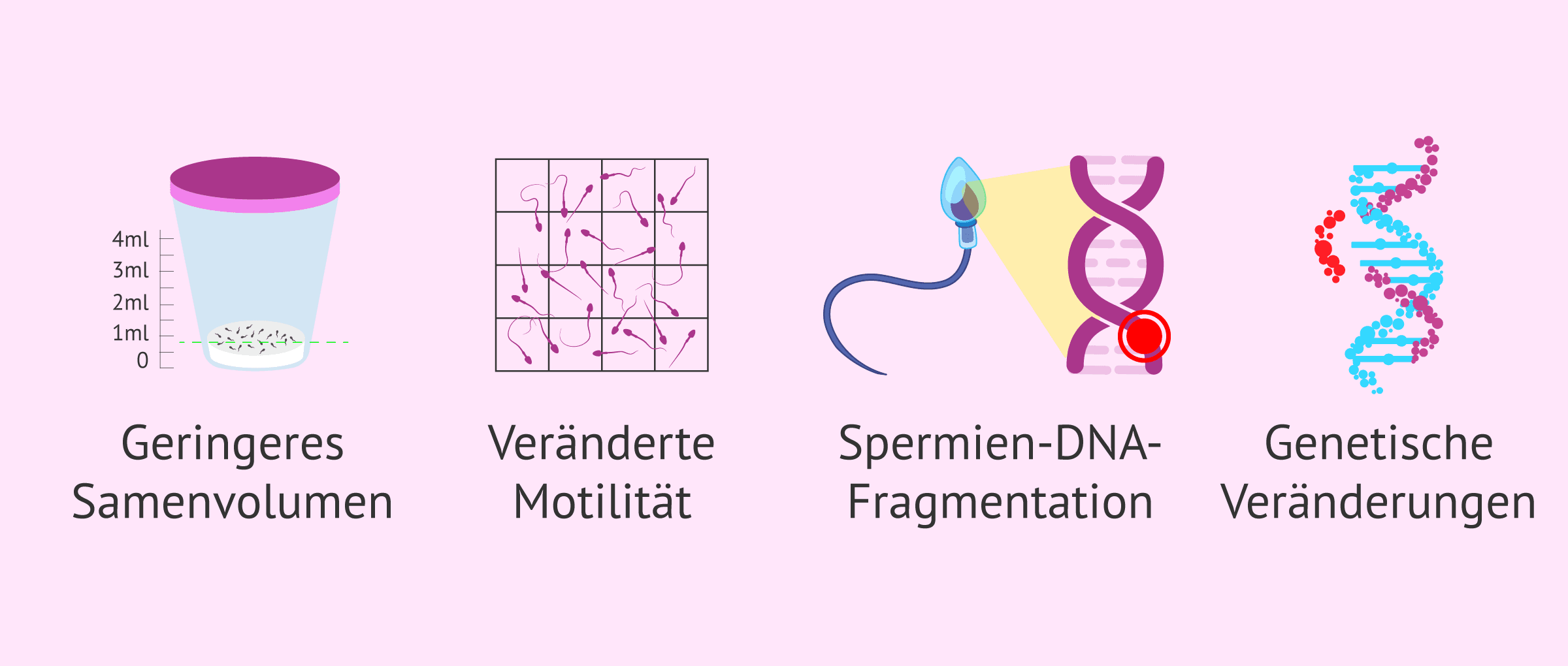 Imagen: Einfluss des Alters auf die Spermienqualität