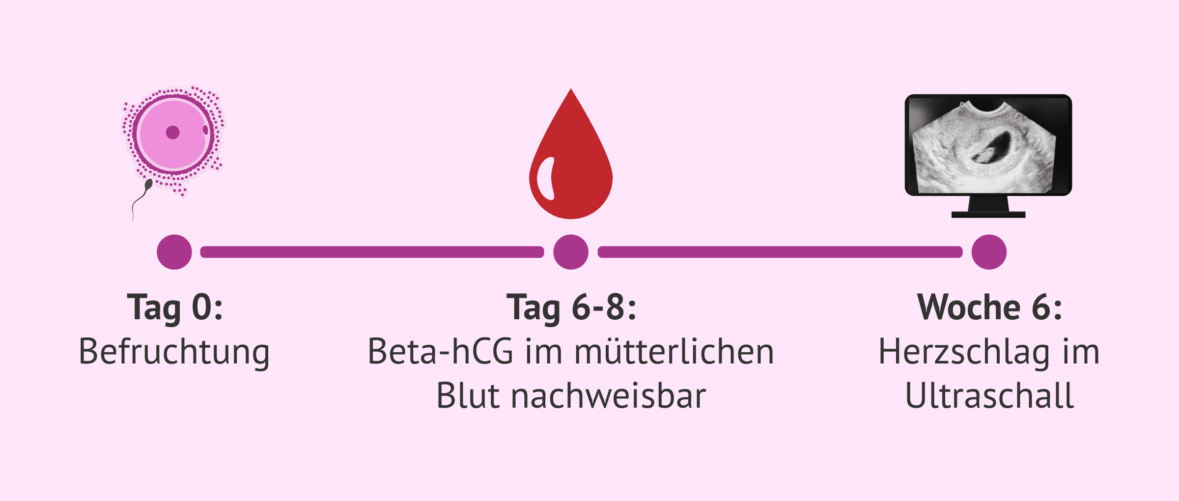 Der unglaubliche Beta-hCG-Wert, der den Schwangerschaftserfolg definiert