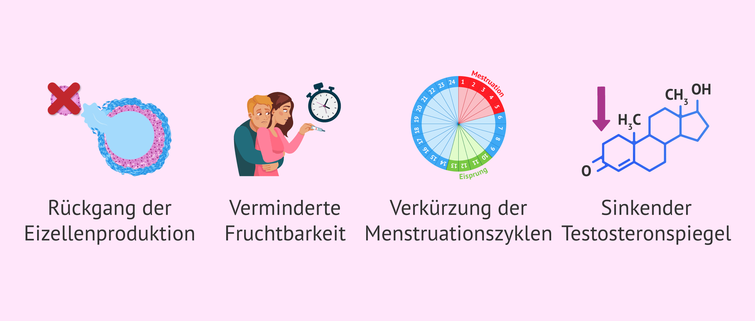 Imagen: Veränderungen im Körper während der Perimenopause
