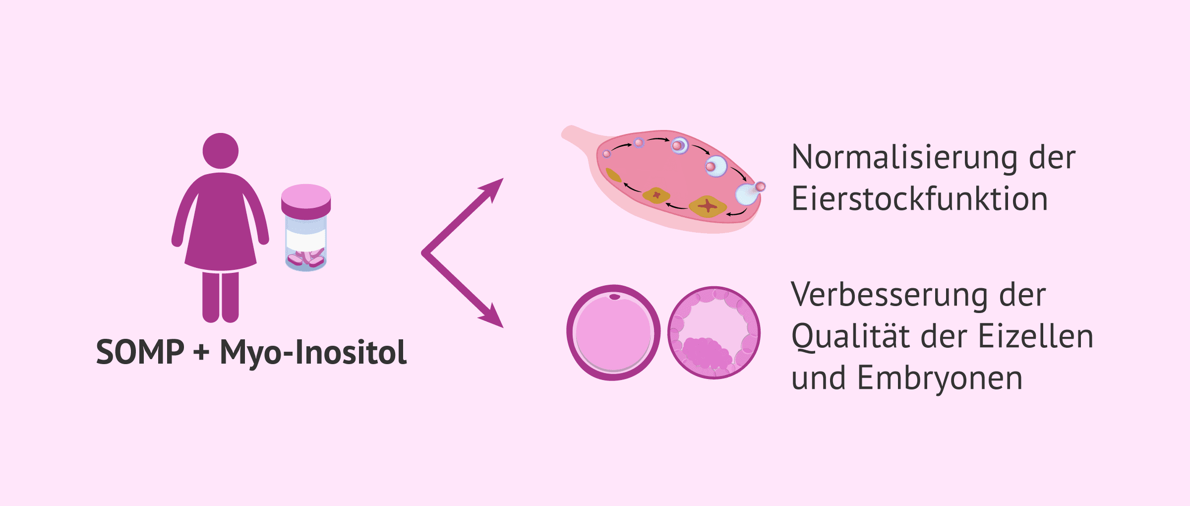Nahrungsergänzungsmittel bei IVF: Die Gefahr der unkontrollierten Einnahme